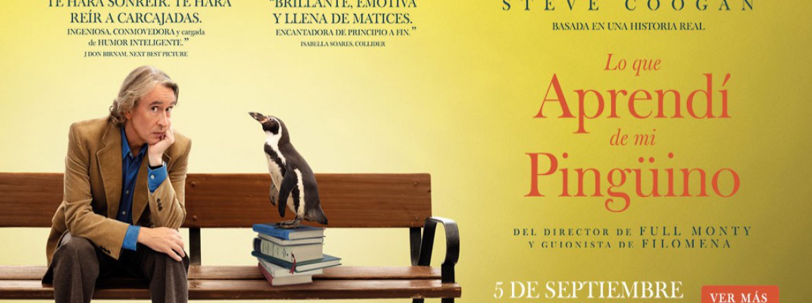 Lo que aprendí de mi pingüino